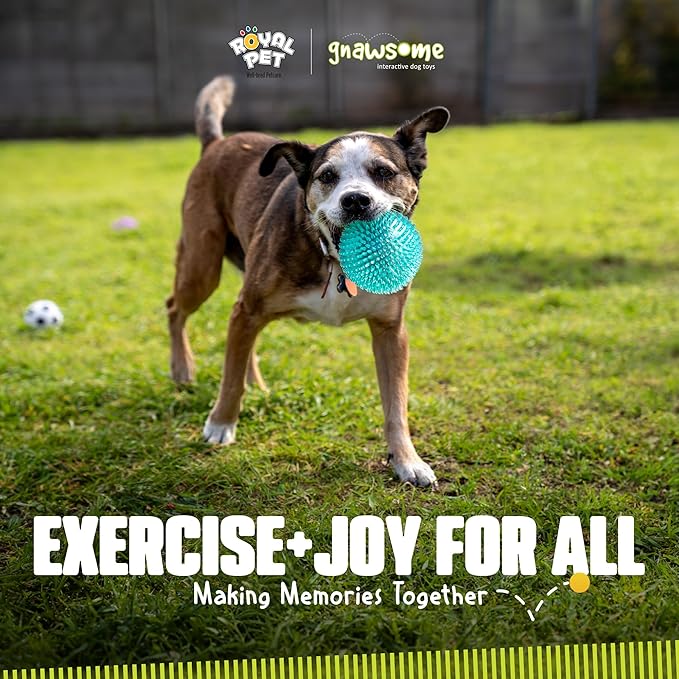 Gnawsome™ 4.5” Spiky Squeaker Ball Dog Toy - Extra Large, Cleans Teeth and Promotes Good Dental and Gum Health for Your Pet, Colors will vary, 4.5"