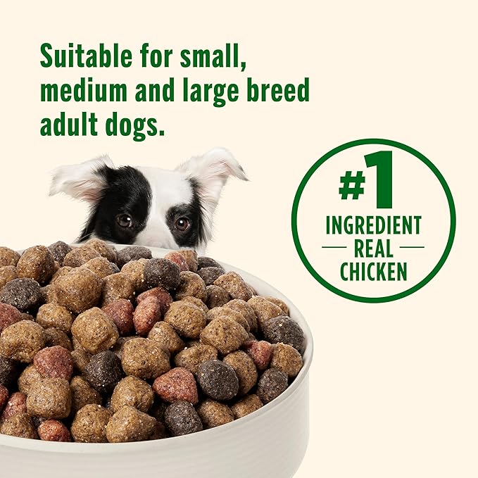 Nutrish Dry Dog Food, Real Chicken & Veggies Recipe Whole Health Blend, 6 lb. Bag (Rachael Ray)