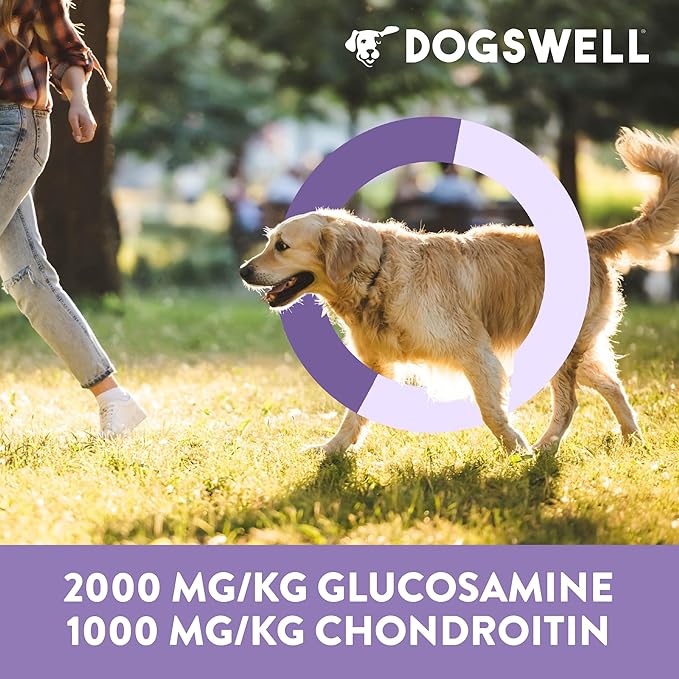 DOGSWELL Hip & Joint Dog Treats 100% Meaty, Grain Free, Glucosamine Chondroitin & Omega 3, Chicken Soft Strips 20 oz