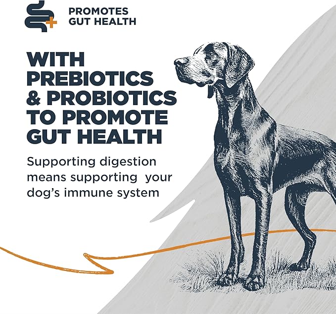 Blackwood Sensitive Skin & Stomach Dry Dog Food, Lamb Meal & Brown Rice with Ancient Grains, 4.5 Pound Bag with Prebiotics & Probiotics to Promote Gut Health