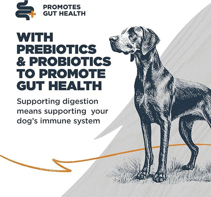 Blackwood Sensitive Skin & Stomach Dry Dog Food, Lamb Meal & Brown Rice with Ancient Grains, 4.5 Pound Bag with Prebiotics & Probiotics to Promote Gut Health
