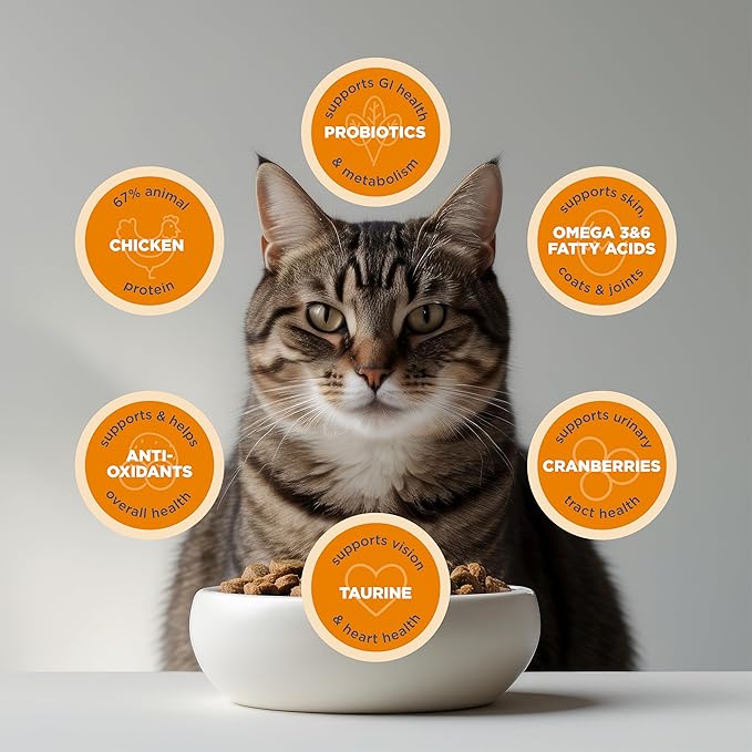 Blackwood Dry Cat Food, Indoor Formula, Chicken Meal & Brown Rice Recipe, 13.2 Pound Bag, High Protein, Slow Cooked