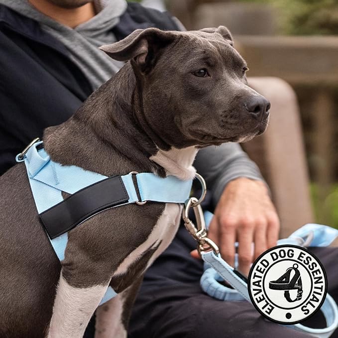 Dog Friendly Co. Dog Harness for Large Dogs (Sky Blue, Extra Large) | One Click Buckle, Chafe Resistant Webbing, Adjustable Neck & Chest, and Heavy Duty D-Ring, Sturdy Comfortable and Easy to Use