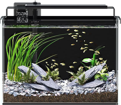 5 Gallon Fish Tank Aquarium Kit with Filter, LED Light with Timer, Siphon Vacuum Cleaner, Lid, Self-Cleaning Glass Rimless Betta Tank