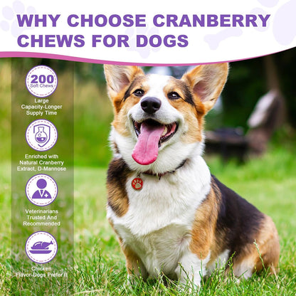 Dog UTI Treatment Cranberry Supplement for Dogs 200 Chews Urinary Tract Medicine Bladder Control Pills Kidney Support Cranberrys Extract Bites Puppy UTI Infection Treats Incontinence Remedy for Dogs