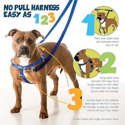 2 Hounds Design Freedom No Pull Dog Harness, Adjustable Harness, Easy Walking & Comfortable Control, Fits Small, Medium & Large Dogs, Solid Colors, Made in USA, 5/8" XS, Brown