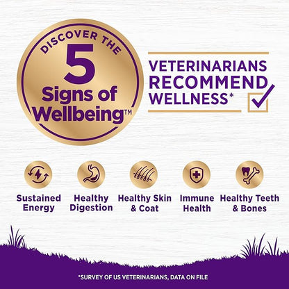 Wellness Complete Health Dry Dog Food with Grains, Made in USA with Real Meat & Natural Ingredients, All Breeds, Adult Dogs (Chicken & Oatmeal, 30-lb) – With Nutrients for Immune, Skin, & Coat Support