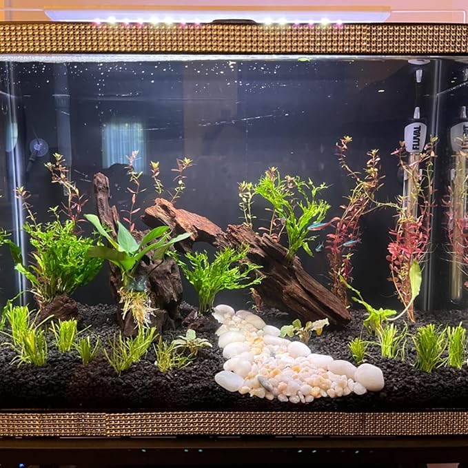3 PCS Large Natural Honeycomb Wood 8-12", Porous Aquarium Driftwood, Cholla Wood Shrimp Shelter Breeding Cave, Shrimp Dragon Wood for Fish Tank, Aquascaping, Reptile, Terrarium Decor