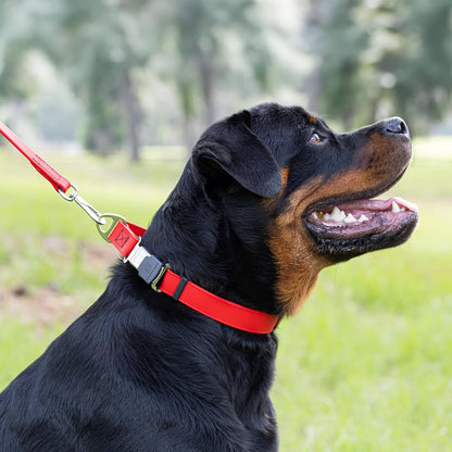 Dogline Biothane Waterproof Dog Collar with Herm Sprenger Black Stainless Steel Quick Release Buckle – Heavy Duty Tactical Durable Collar for Dogs – Comfortable and Safe Pet Collar W 3/4" L 12-19" Red
