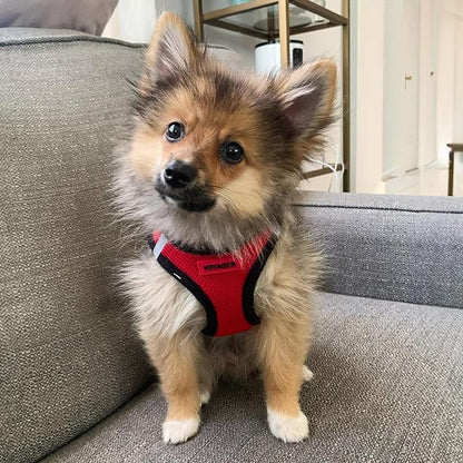 Best Pet Supplies Voyager Step-in Air Harness - All Weather Mesh, Reflective, No Pull Harness for Dogs, Cats - Secure with Hook & Loop Fastener, Buckle, Double D-Rings - Red/Black Trim, XL