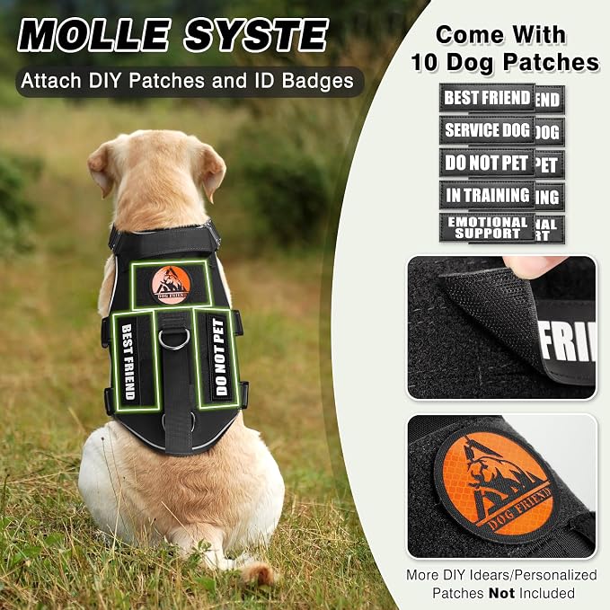 Tactical Service Dog Vest and Leash Set,Heavy Duty Harness with Metal Buckles for Large Dogs,Adjustable No Pull Pet Vest with 10 Patches,for Training Working Hiking,Black XL
