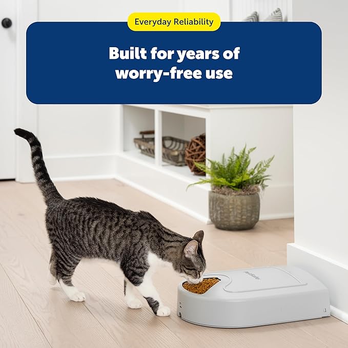 PetSafe Automatic Dog Feeder, 5 Meals, 40 oz Capacity,
