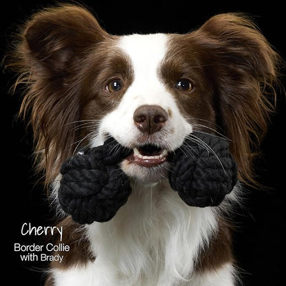 Brady The Rope Tug Toy 3-Pack Organic Cotton Dog Rope Pull Toys for All Pet Breeds, Gray Ombre, One Size