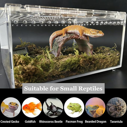 Reptile Terrarium Gecko Tank Tarantula Enclosure Acrylic Spider Terrarium Hermit Crab Tank for Scorpion Insect Isopods Invertebrates Insect (Small)