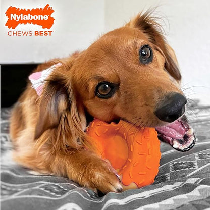 Nylabone Limited Edition 70th Birthday Donut Power Chew Toy for Dogs, Durable & Tough Dog Toys for Aggressive Chewers, Pumpkin & Peanut Butter Flavor, Large - Up to 50 lbs (1 Count)
