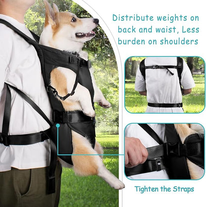 PetBonus Dog Front Carrier Backpacks, Legs Out Easy-fit Puppy Chest Carrier | Hands Free, Adjustable, Safety Strap, Walking Hiking Cycling Motorcycle bag, For Small Medium Dogs (Black, L)