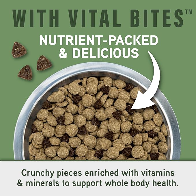 Natural Balance Specialized Nutrition Dry Dog Food with Lamb and Oatmeal for Dogs, Digestive & Immune Health Food, Natural Ingredients with Added Vitamins & Minerals - 3.5 lbs