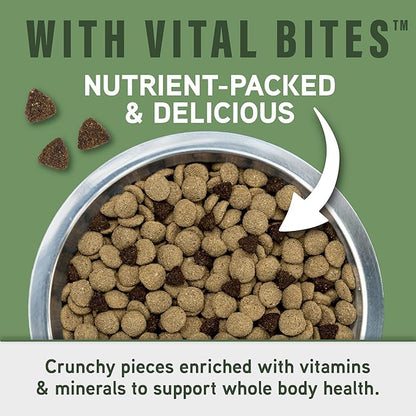 Natural Balance Specialized Nutrition Dry Dog Food with Lamb and Oatmeal for Dogs, Digestive & Immune Health Food, Natural Ingredients with Added Vitamins & Minerals - 3.5 lbs