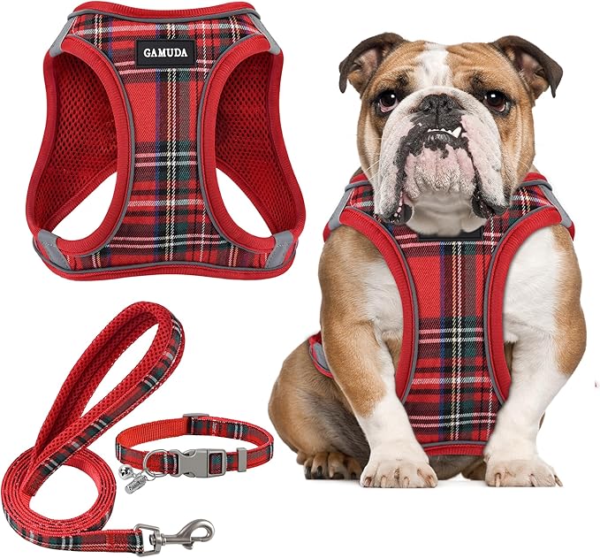 GAMUDA Small Dog Harness Collar and Leash Set, Step in No Chock No Pull Soft Mesh Adjustable Dog Vest Harnesses Plaid Reflective for Dogs Puppy Cats Kitten Rabbit (Red, XL)