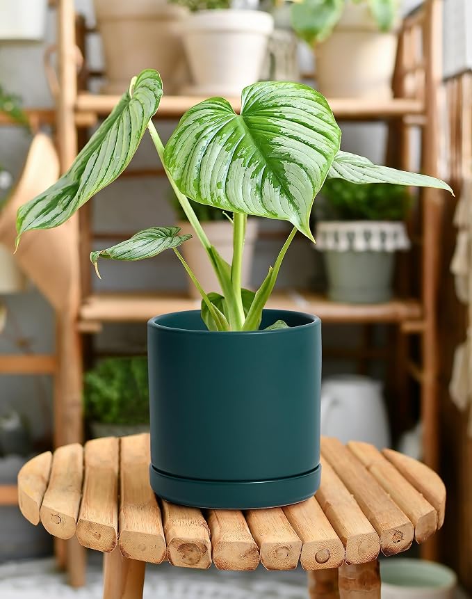 D'vine Dev Set of 2 Plants Pots, 6 Inch Ceramic Planter Pot for Plants with Drainage Hole and Saucer, Teal, 94-V-C-9