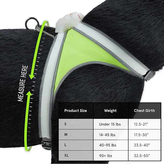 noxgear LightHound Light Up Reflective Dog Harness and Wrist Light, Large | 360° Light Up Reflective Dog Harness, 8 Colors & 6 Modes, USB Rechargeable, Adjustable, Rainproof, LED Fiber Optic