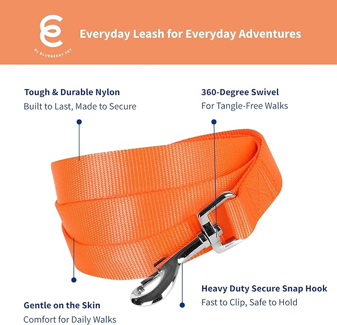 Blueberry Pet Essentials Florence Orange Dog Leash for X-Small -5' * 3/8" Dogs | Heavy Duty Nylon Lead | Lightweight Puppy & Cat Leash for Walking & Training