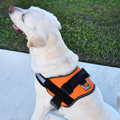 Dogline Dog Harness, Reflective No-Pull Adjustable Vest with Handle for Walking, Training, Breathable, No - Choke Harness for Small, Medium or Large Dogs Room for Patches Girth 27 to 34 in Orange