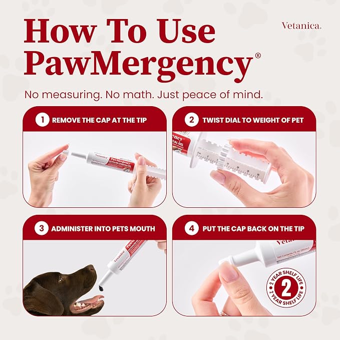 PawMergency – Activated Charcoal First Aid Kit Emergency Rescue 2 Pack for Dogs, Cats, Puppy & Pet Poison Kit, Camping Survival Remedy Essential, Oral Anti Diarrhea Digestive Absorb Toxins