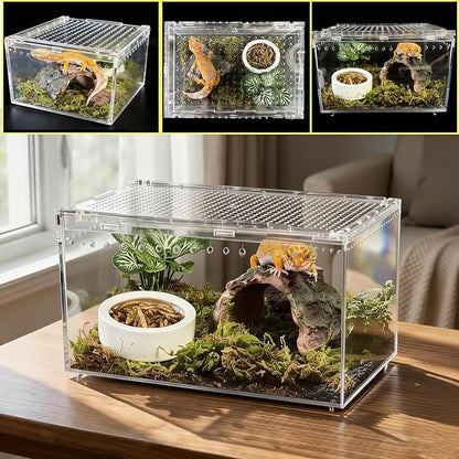 Reptile Terrarium Gecko Tank Tarantula Enclosure Acrylic Spider Terrarium Hermit Crab Tank for Scorpion Insect Isopods Invertebrates Insect (Small)