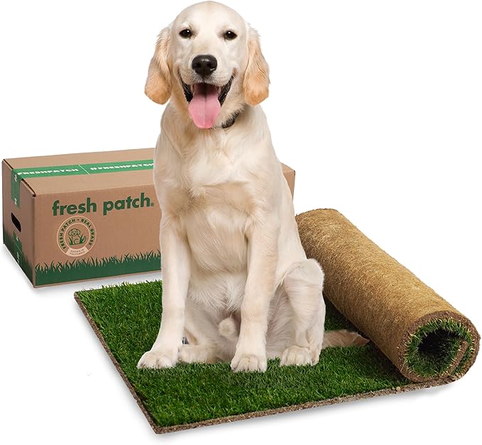 Fresh Patch Real Grass Patch for Dogs, Cats, and Extra Large Pets 30 Pounds and Above – Disposable Pet Grass Pee Pads – Indoor and Outdoor Potty Training Mat (24 Inches x 48 Inches)
