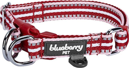 Blueberry Pet Safety Dog Collar with Dual D-Rings | 3M Reflective Multi-Colored Adjustable Collar in Marsala Red and Pink | Soft Nylon Dog Collar for Active Large Dogs