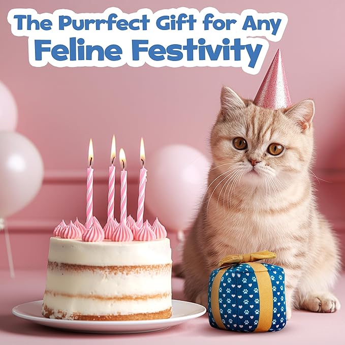 Gift Box Catnip Toy – Christmas & Birthday Cat Toy with Catnip & Crinkle, Cute Plush Present for Indoor Cats, Christmas Cat Gift & Stocking Stuffer