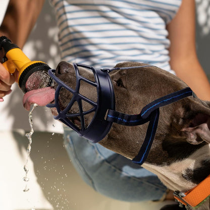 Dog Muzzle, Breathable Basket Muzzles for Small, Medium, Large and X-Large Dogs, Prevent Barking, Biting, Chewing Dog Mouth Cover