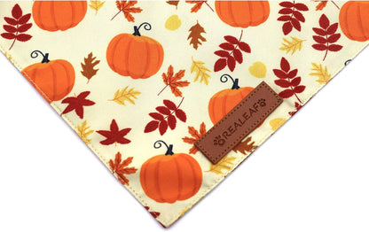 Realeaf Thanksgiving Dog Bandanas 2 Pack, Pumpkins and Happy Thanksgiving Pet Scarf for Boy and Girl, Premium Durable Fabric, Reversible Holiday Bandana for Small and Medium Dogs Pets (Small)