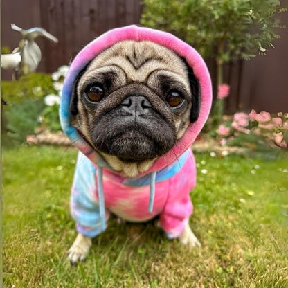 Spark Paws Dog Hoodie – Premium Dog Sweater for Small, Medium, and Large Dogs | Warm Outfits for French Bulldogs, Pitbull, Puppy, Winter Jacket Alternative - Snow Cone - L