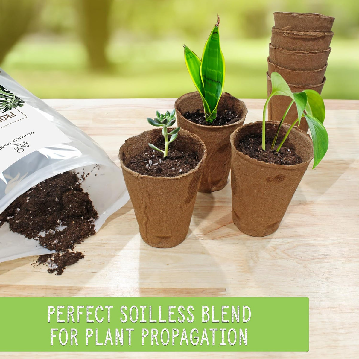 Planting Mix for Plant Propagation (4 Quarts), Hand Blended Soilless Mix for Propagating Plants, House Plants, and More