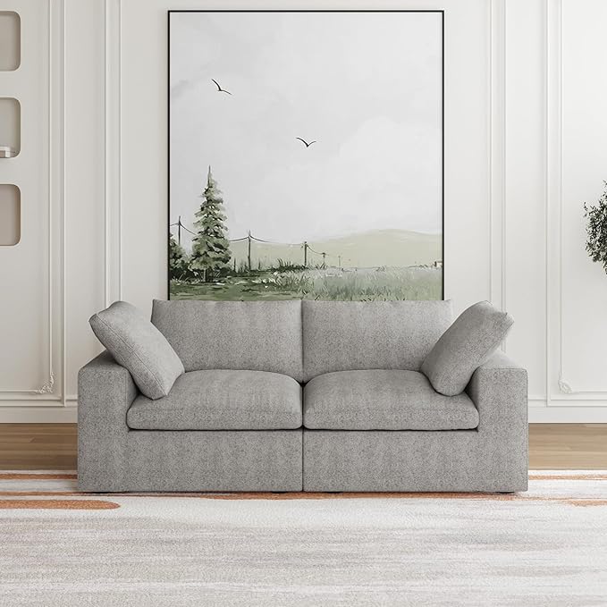 JACH Modular Sectional Couch, Love Seat Sofas, Modern Convertible Cloud Couch, Cushion Covers Removable, Comfy Sectional Sofa for Living Room Apartment (Grey)