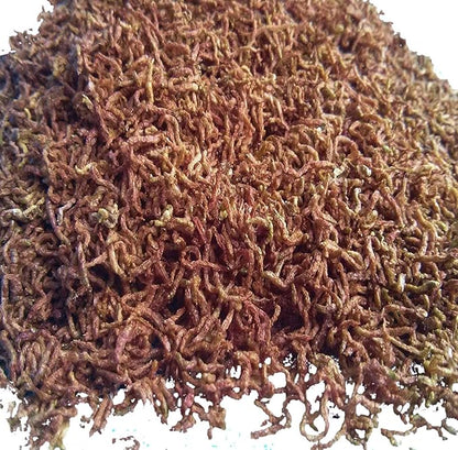 Aquatic Foods Inc. Bloodworms, Freeze Dried Fresh Grade A Floating Bloodworms for All Tropical Fish, Bettas, Discus, Cichlids, Community Fish, Turtles, Carnivores. Shipped from Calif...1/8-lb