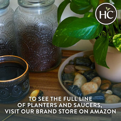 The HC Companies 6 Inch Prima Round Planter Pots with Drainage Holes and Rolled Rim, Lightweight UV-Resistant Plastic Indoor & Outdoor Planters, 4-Pack Flower Pots for Garden & Home Decor, Dusty Teal