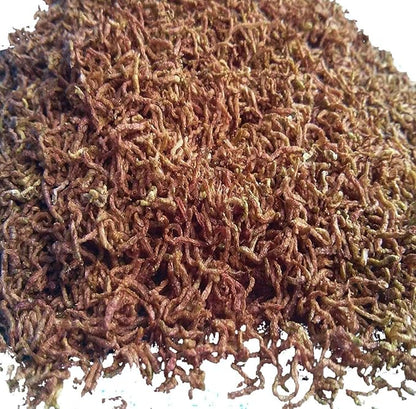 Aquatic Foods Inc. Bloodworms, Freeze Dried Grade A Fresh Floating Bloodworms for All Tropical Fish, Bettas, Discus, Cichlids, Community Fish, Turtles, Carnivore Tropical Fish - 6-lbs