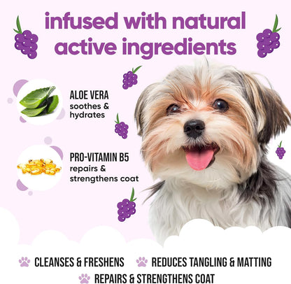 Grape Dog Shampoo by Buddycare | Deep Cleansing Shampoo for Dogs | Fresh Scented | with Aloe Vera and Pro Vitamin B5 (169.07oz)