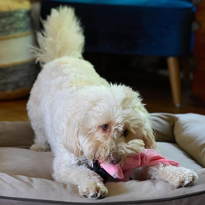 SPOT Skinneeez Flamingo 19 Inch Stuffing-Free Plush Dog Toy with Dual Squeakers – Long Interactive Chew Toy for Medium and Large Dogs – Mess-Free Play for Light & Moderate Chewers