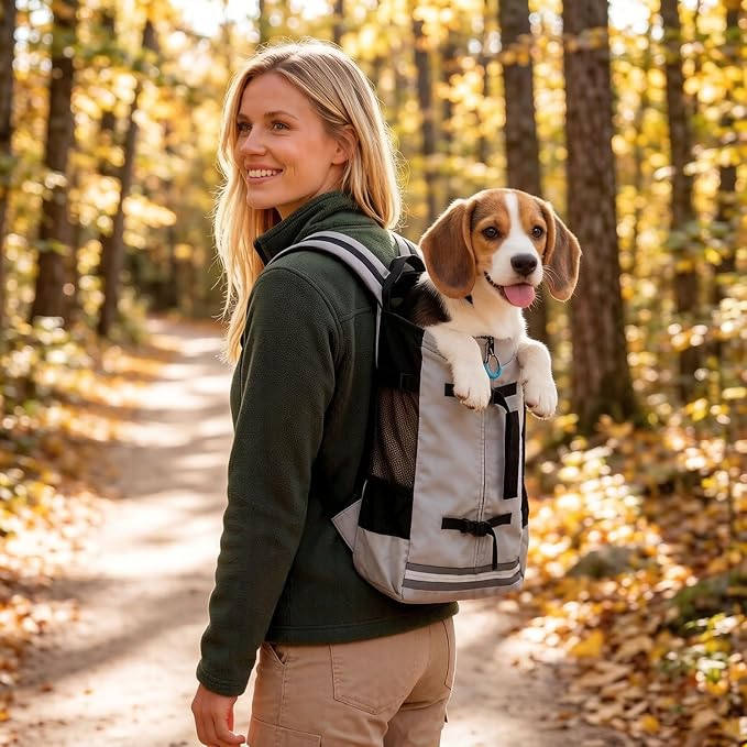 Big Dog Backpack Carrier, Black-M | Extra Large Pet Carrier for 66lbs Dogs, Fully Adjustable Water-Resistant Dog Travel Bag for Hiking Cycling Outdoor Adventures