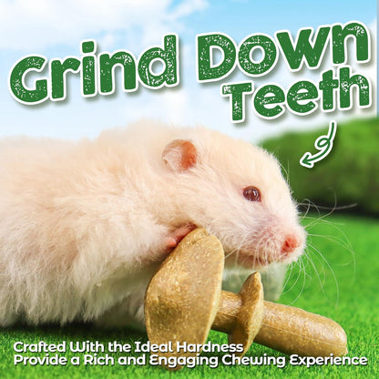 TEEWY 4PCS Guinea Pig Chew Toys, Prevent Teeth Overgrowth, Natural Vegetables and Timothy Grass, Hamster Chew Toys, Guinea Pig Toys, Chinchilla Toys, Grass Patch & Mushrooms