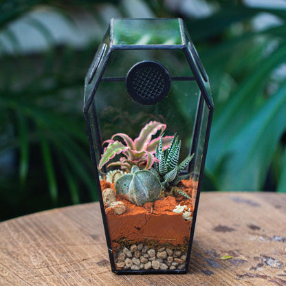 NCYP Gothic Glass Enclosure for Jumping Spider, Snails, Insects - Front Opening Door Geometric Cactus Plants Terrarium with Vent Holes, Indoor Tabletop Coffin Shape Decor, Black (Terrarium Only)
