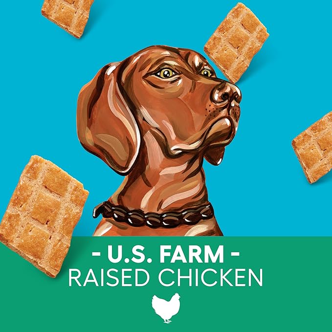 Newman's Own Jerky Treats for Dogs - Original Chicken Recipe | Made with US Farm-Raised Chicken | Grain Free | High in Protein | 5 oz Bag (Pack of 6)