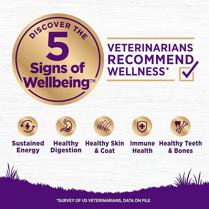 Wellness Complete Health Sensitive Skin & Stomach Dry Dog Food, Wholesome Grains, Natural, Salmon & Rice Recipe, (5-Pound Bag)