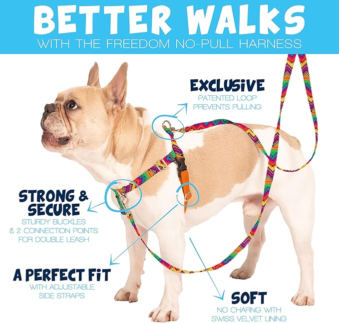 2 Hounds Design Freedom No Pull Dog Harness, Adjustable Harness and Leash Set, Easy Walking & Comfortable Control, Fits Small, Medium & Large Dogs, Solid Colors, Made in USA, 1" XL, Yellow