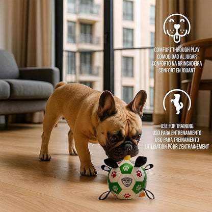 ProBall Pets Interactive Dog Soccer Ball with Grab Tabs - Floats on Water, Fetch & Training Toy for Small Medium Dogs, Herding Breeds - Waterproof Non-Toxic - 6" Green Red
