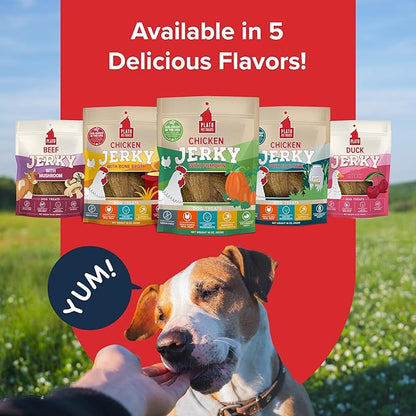 PLATO Pet Treats Jerky Dog Treats - Air-Dried Jerky for Dogs - Delicious, Real Meat Dog Treats - Grain Free - Supports Healthy Digestion - Chicken Jerky with Pumpkin 16oz